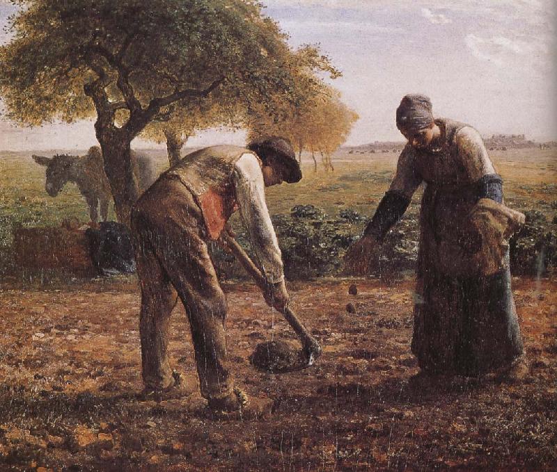 Jean Francois Millet Sower Germany oil painting art